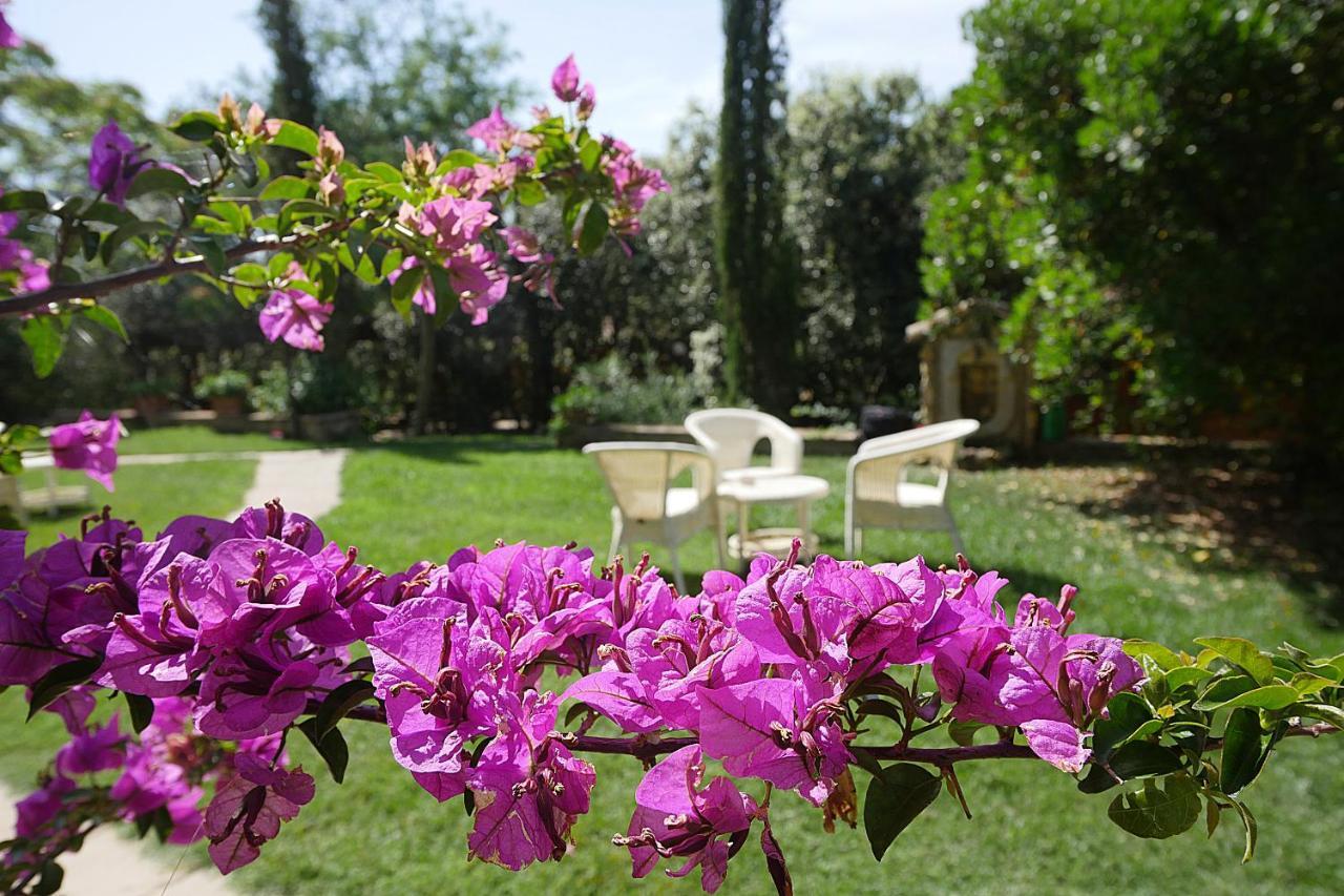 Agriturismo Le Vallette Біббона Екстер'єр фото