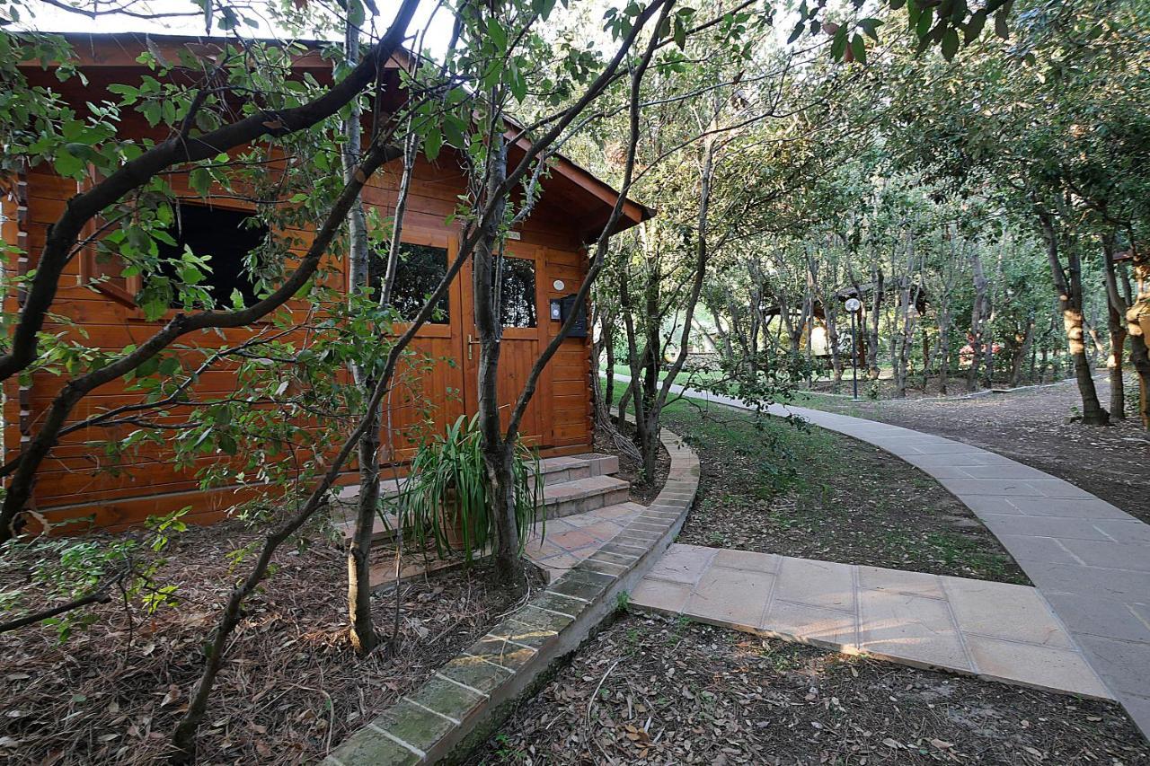 Agriturismo Le Vallette Біббона Екстер'єр фото